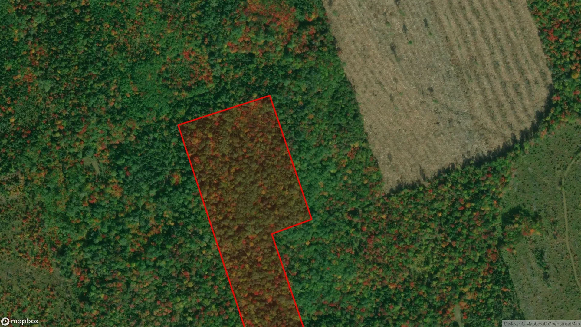 Tax sale property at , Kent - Photo 3