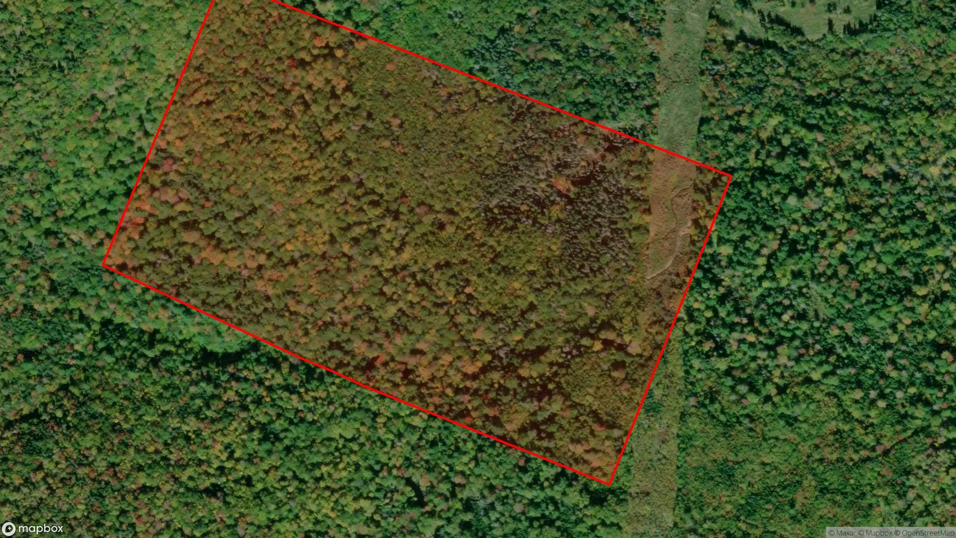 Tax sale property at , Victoria - Photo 3