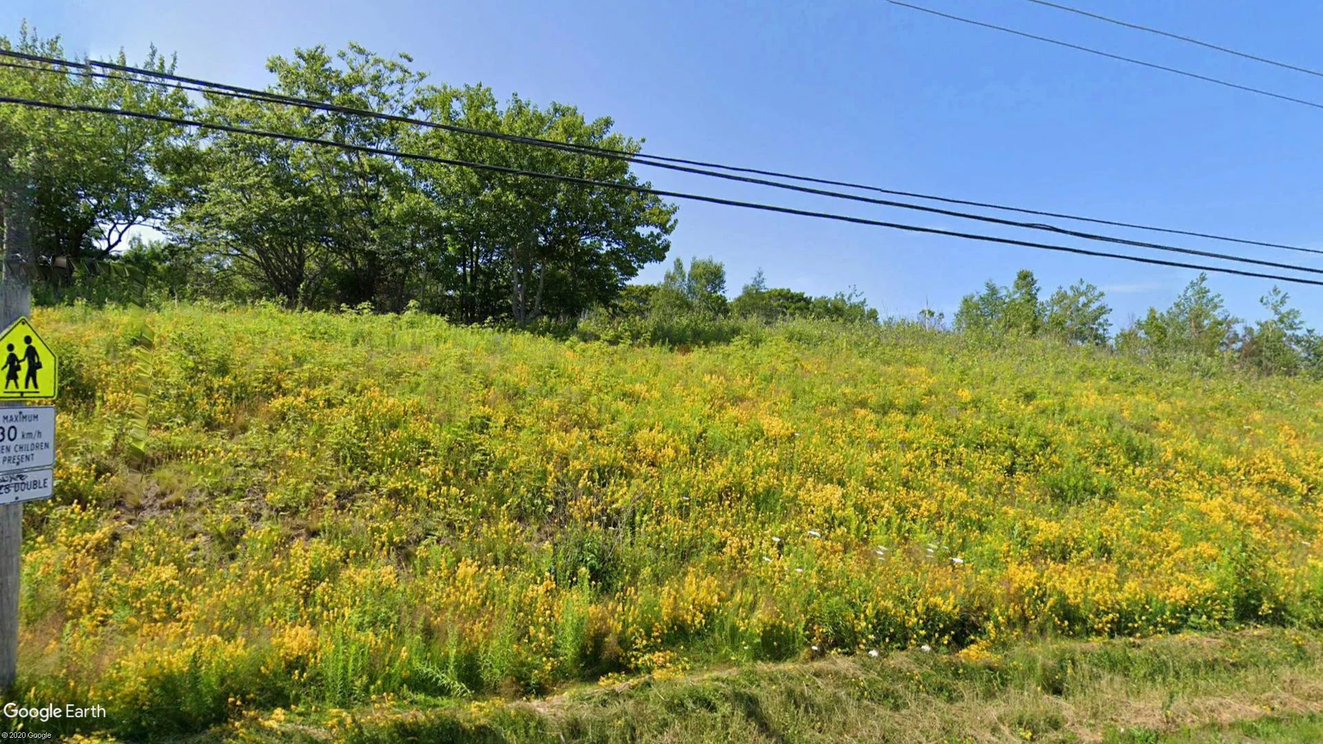 Tax sale property at LOT 286 YORKE ST LAND, SYDNEY MINES, Cape Breton - Photo 5