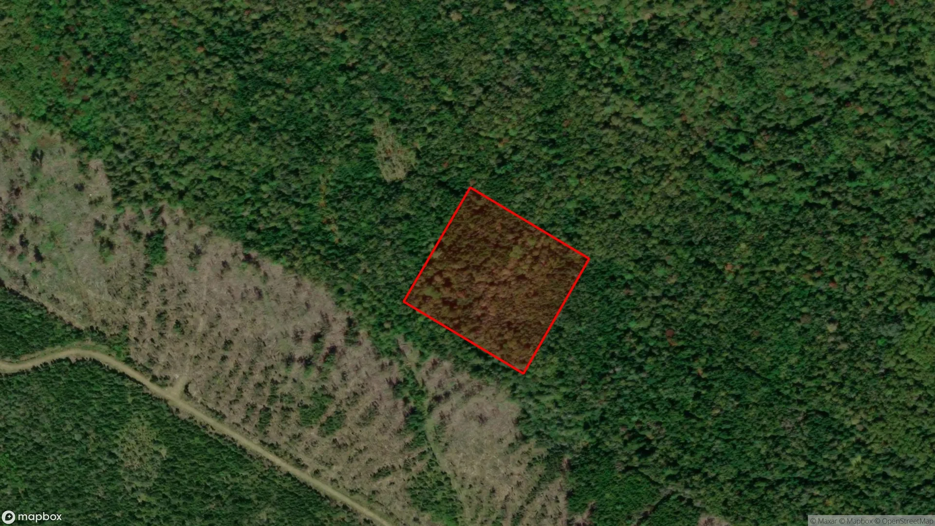 Tax sale property at 102 Fundy Street, Moncton, NB  E1A 8S8, Kings - Photo 3