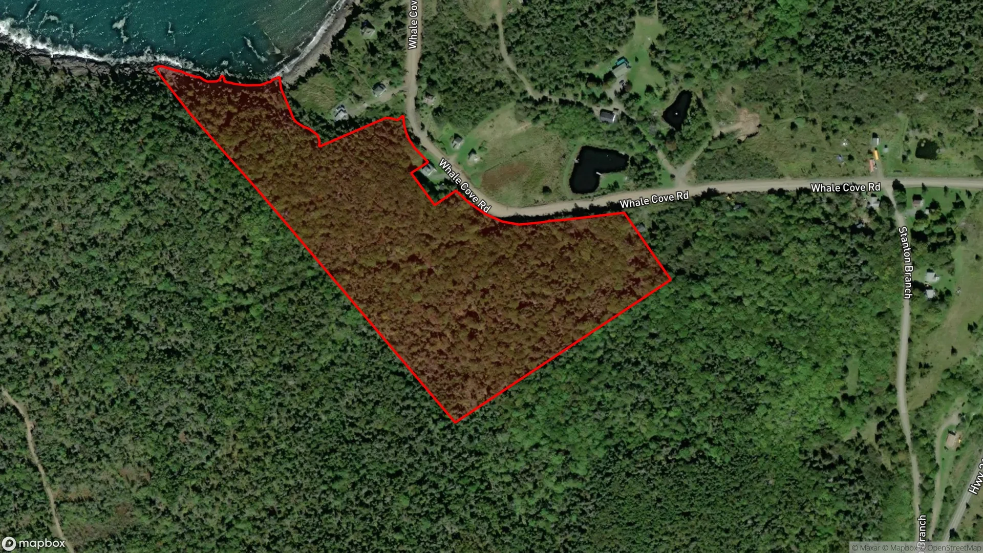 Tax sale property at Whale Cove Road, Sandy Cove, NS  B0V 1E0, Digby - Photo 3