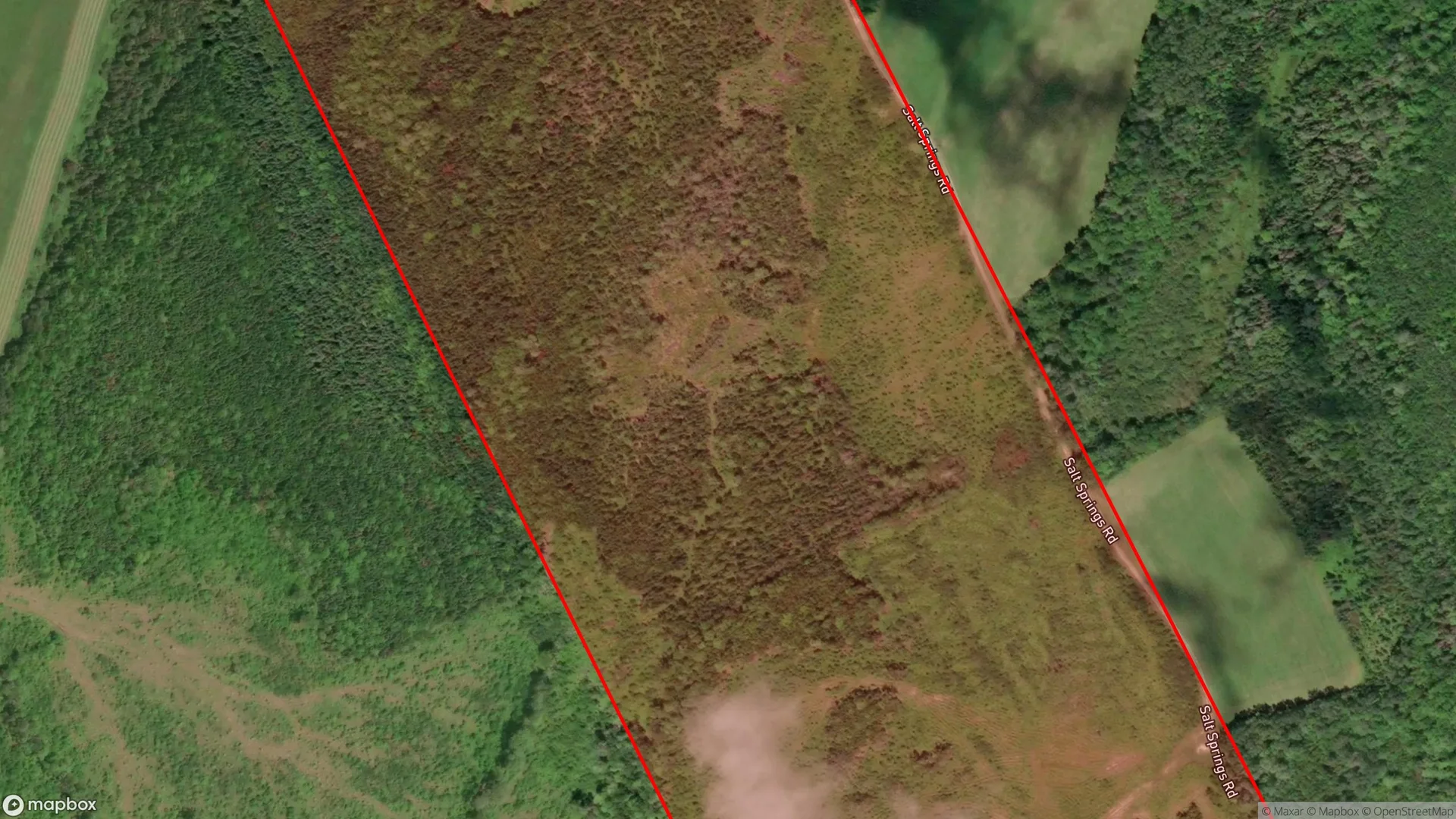 Tax sale property at Salt Springs Road, Pitchers Farm, NS  B2G 2L3, Antigonish - Photo 3