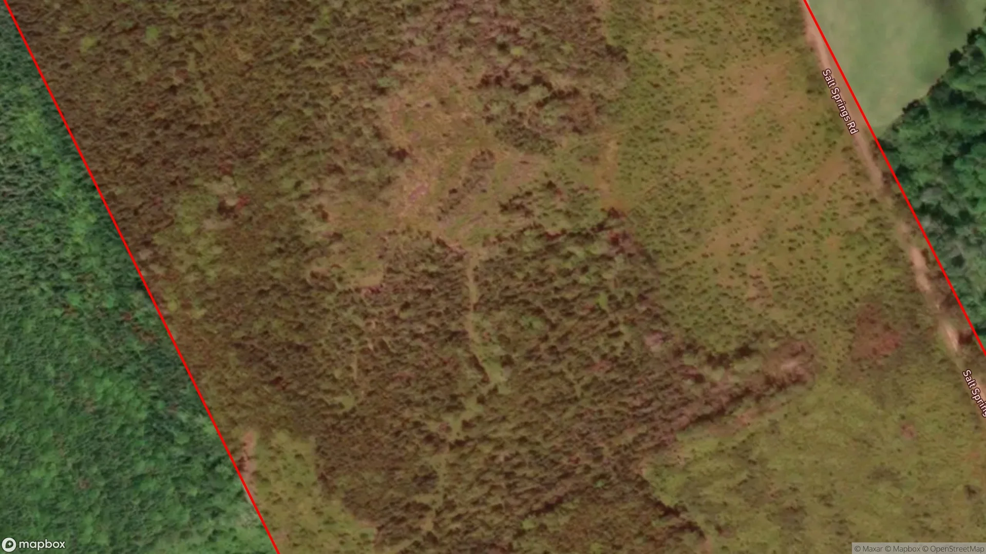 Tax sale property at Salt Springs Road, Pitchers Farm, NS  B2G 2L3, Antigonish - Photo 2