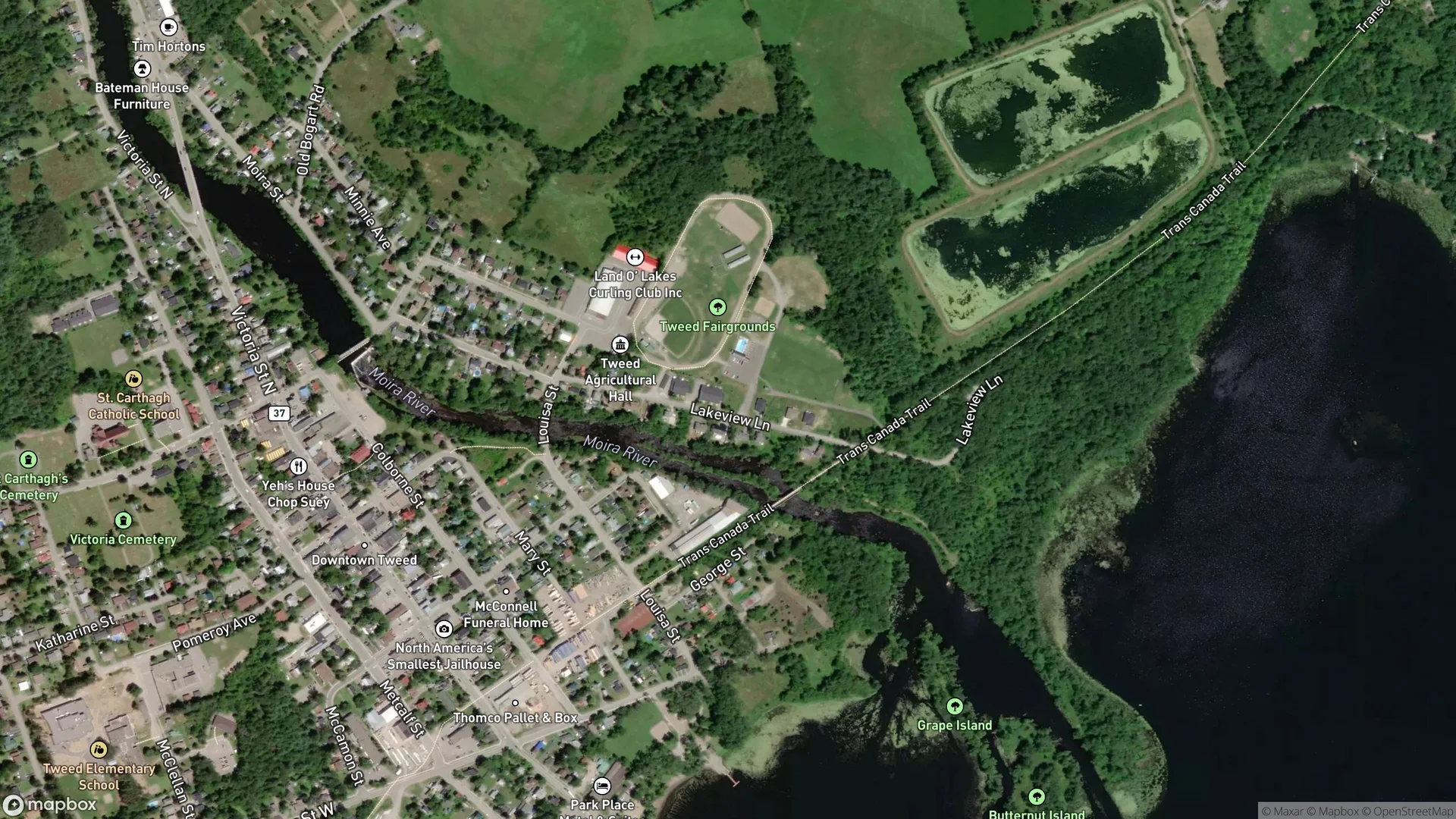 Tax Sale Property in Tweed, Ontario