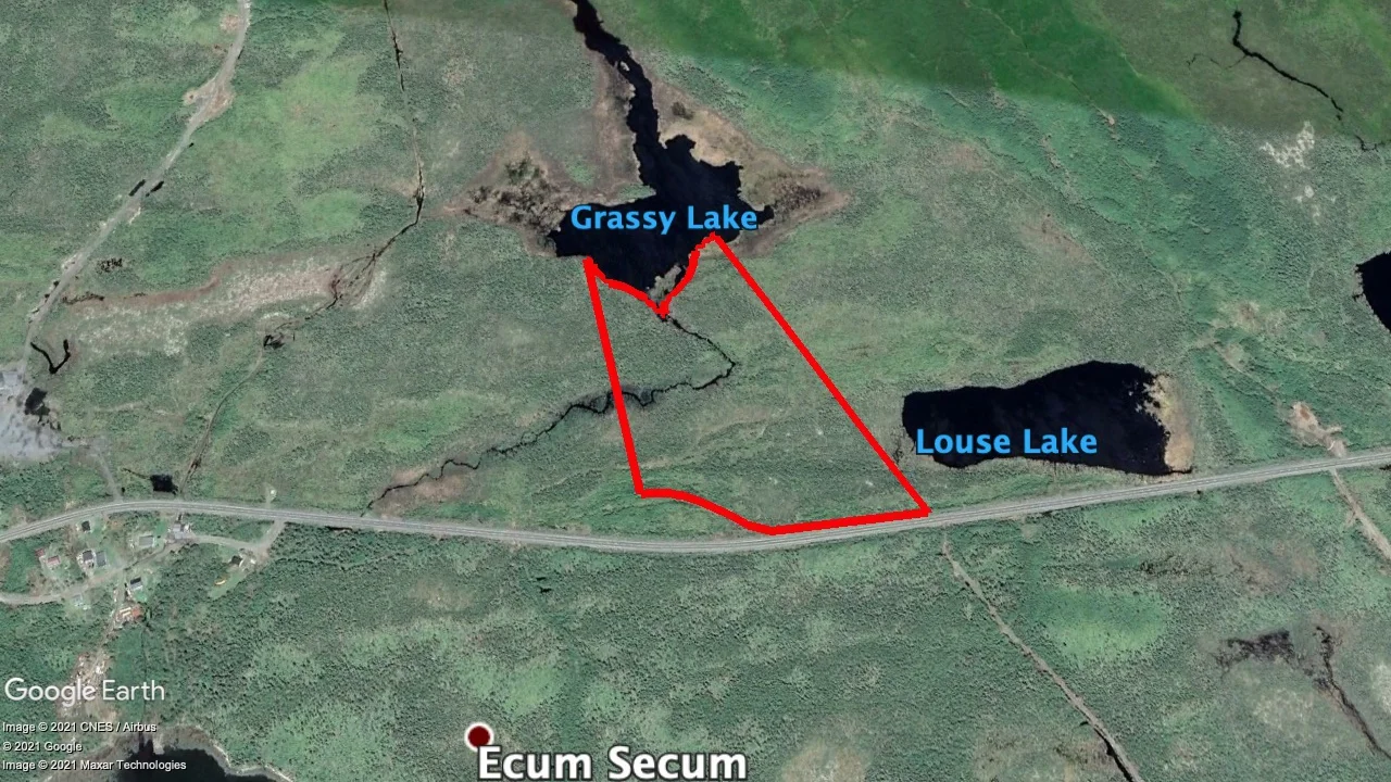 Tax sale property at Highway 7 Ecum Secum, St. Mary's - Photo 2