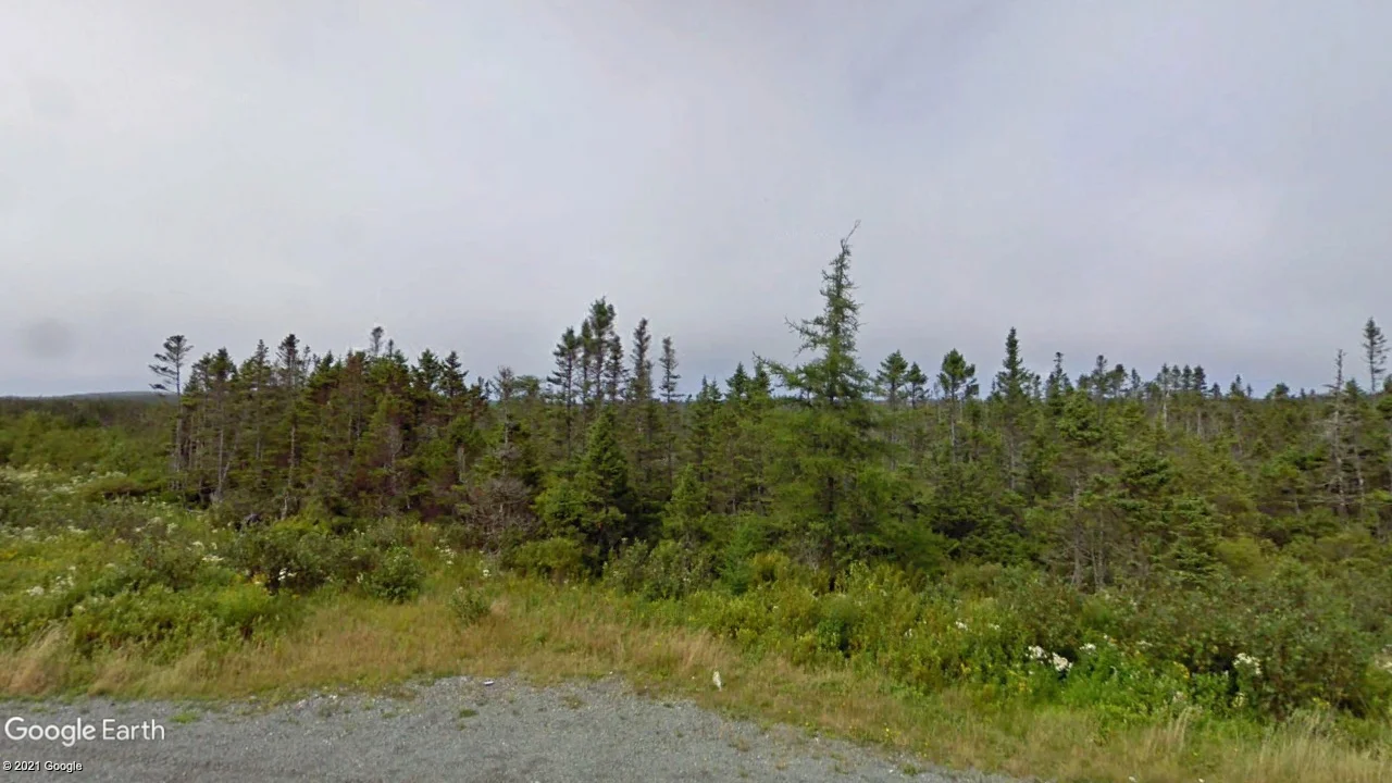 Tax sale property at Highway 7 Ecum Secum, St. Mary's - Photo 4