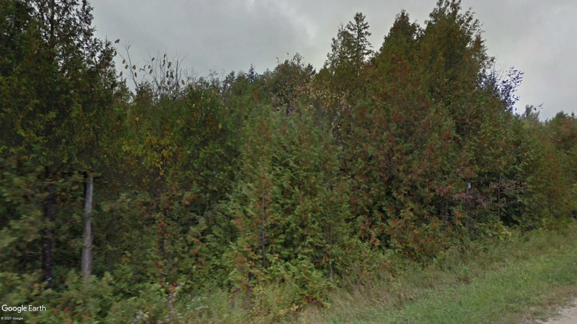 Tax sale property at , West Grey - Photo 4