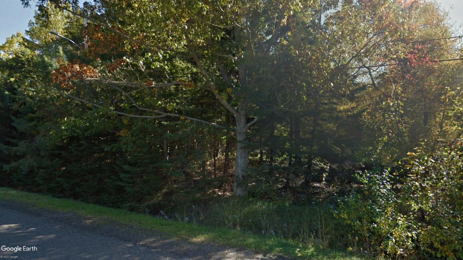 Tax sale property at Orchard Dr New Minas, Kings - Photo 4