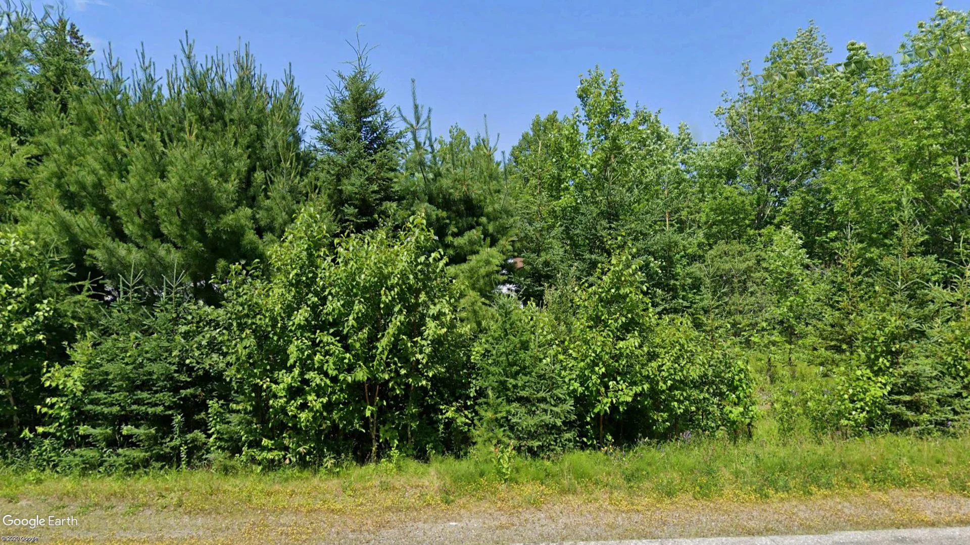 Tax sale property at 590 CAMPBELL ROAD LAND DWELLING, BALLS CREEK, Cape Breton - Photo 4