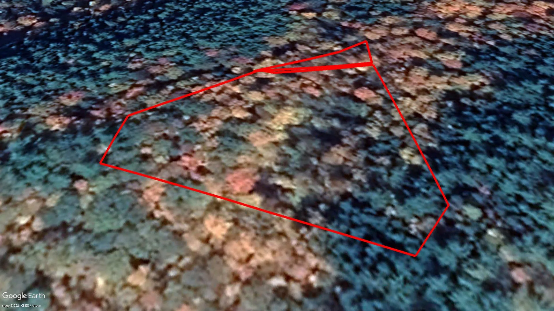 Tax sale property at 140, chemin Lesage, La Vallee-de-la-Gatineau - Photo 3