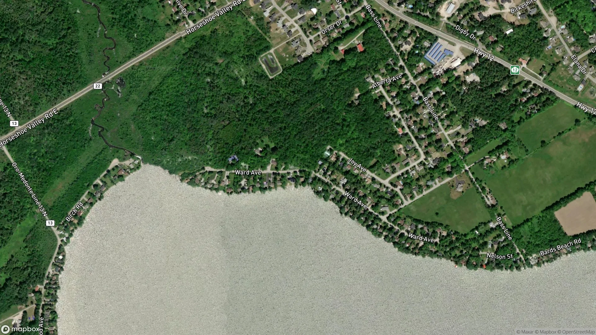 Tax Sale Property in Oro-Medonte, Ontario