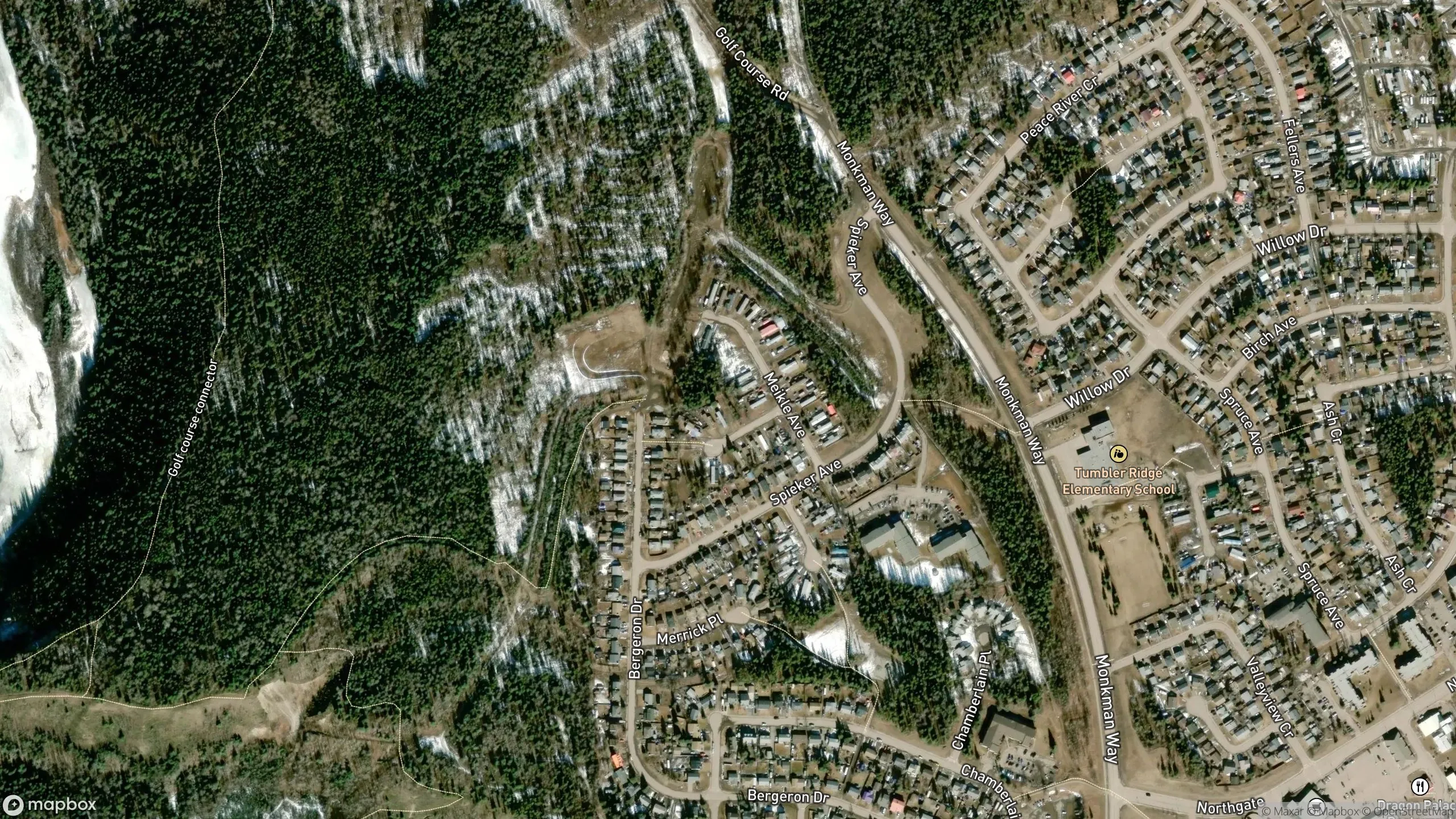Tax Sale Property in Tumbler Ridge, British Columbia