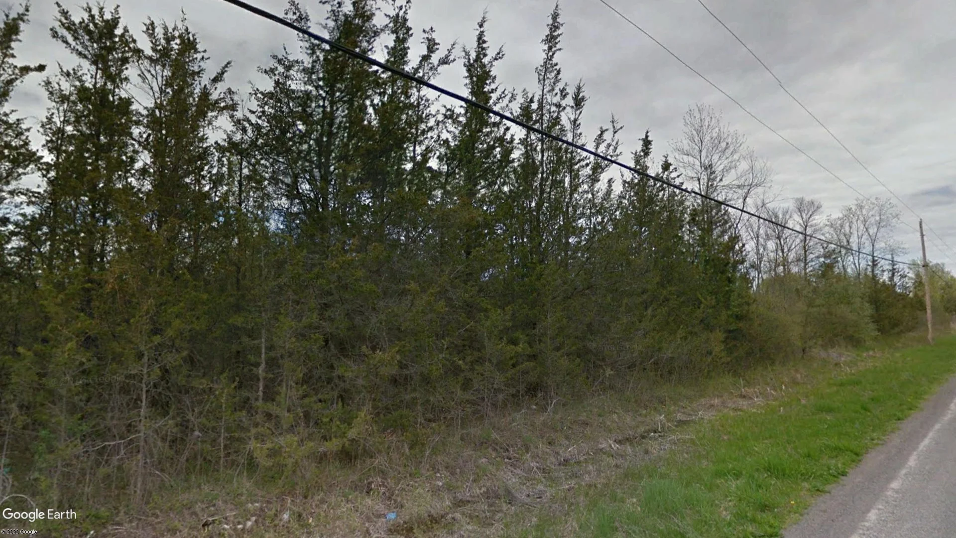 Tax sale property at , Tyendinaga - Photo 4