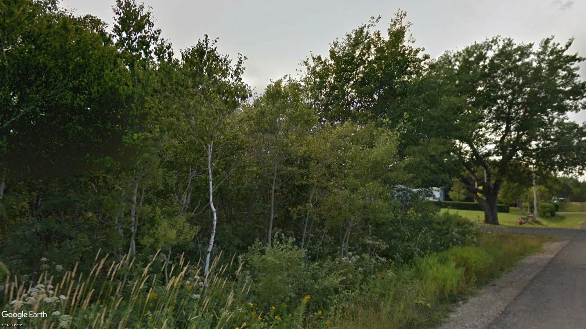 Tax sale property at CAMERON LANE LAND, NEW VICTORIA, Cape Breton - Photo 4