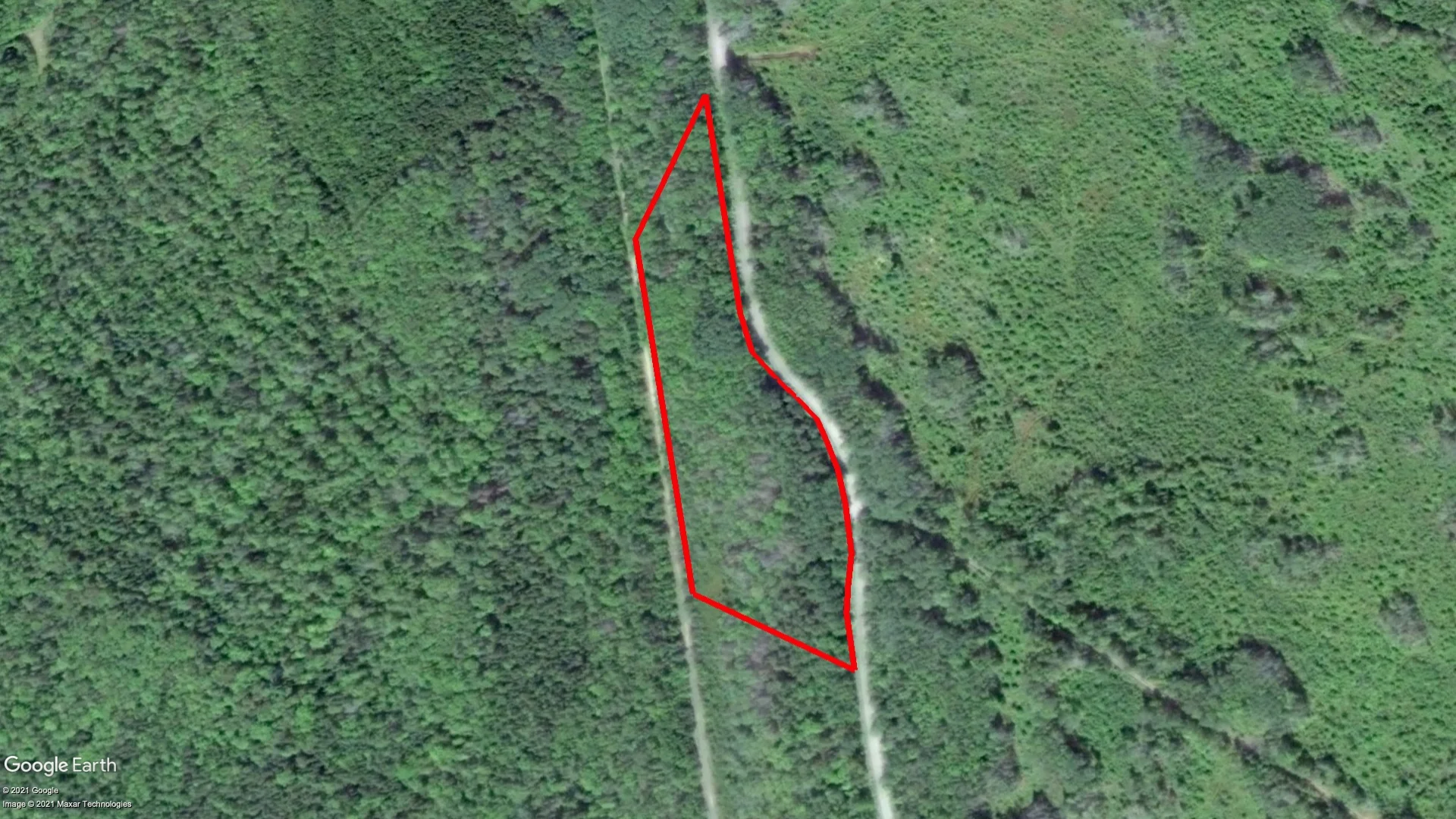 Tax sale property at Norwood Rd., Maxwellton, Clare - Photo 2