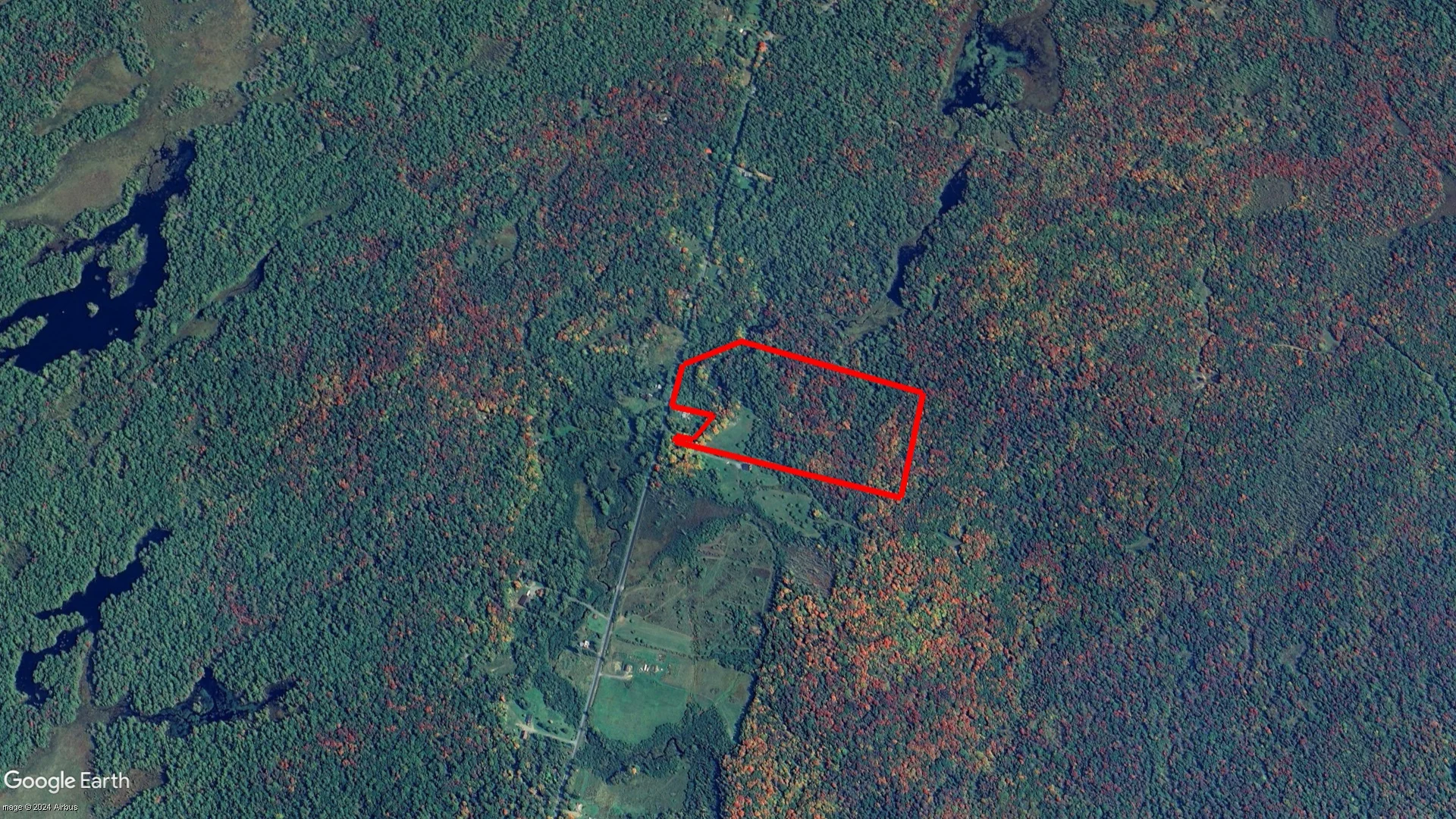 Tax sale property at MUSKOKA LAKES, Muskoka Lakes - Photo 3