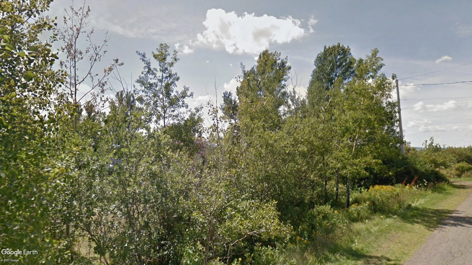 Tax sale property at 700 Brule Shore Point Road, Lot 1 Brule Point, Colchester - Photo 3