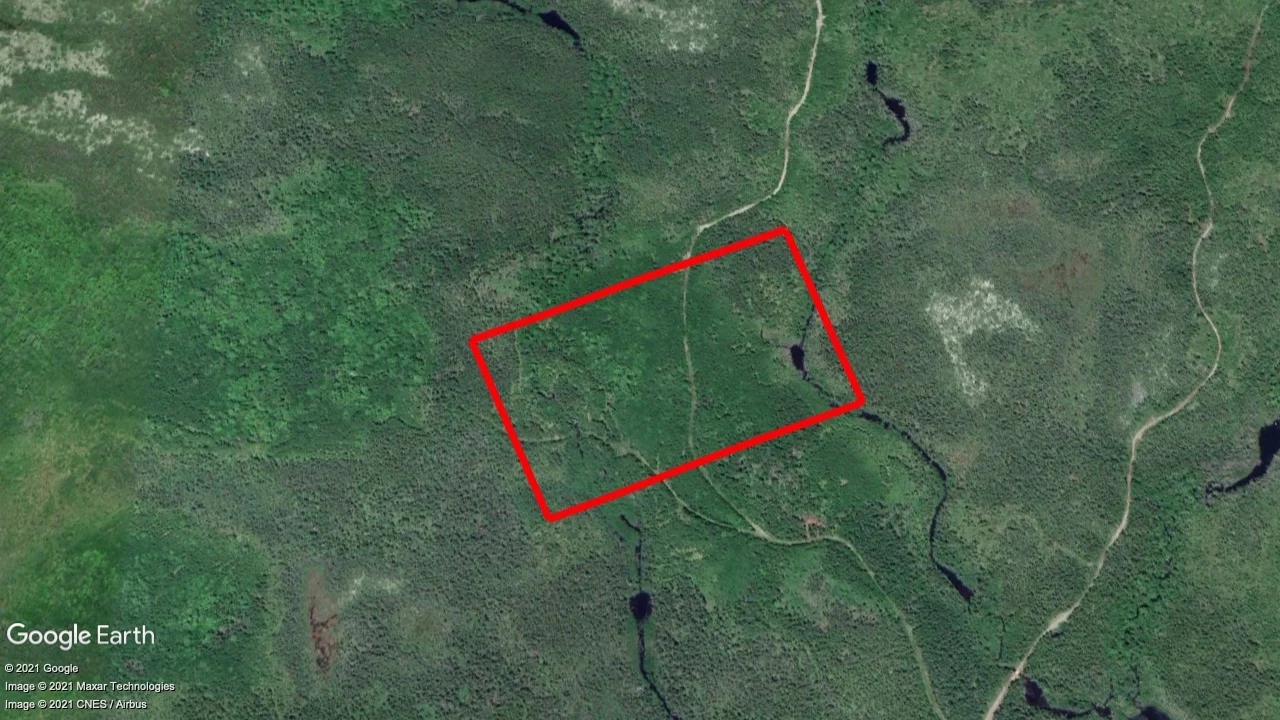 Tax sale property at 242 Fleet Settlement Rd, St. Mary's - Photo 2