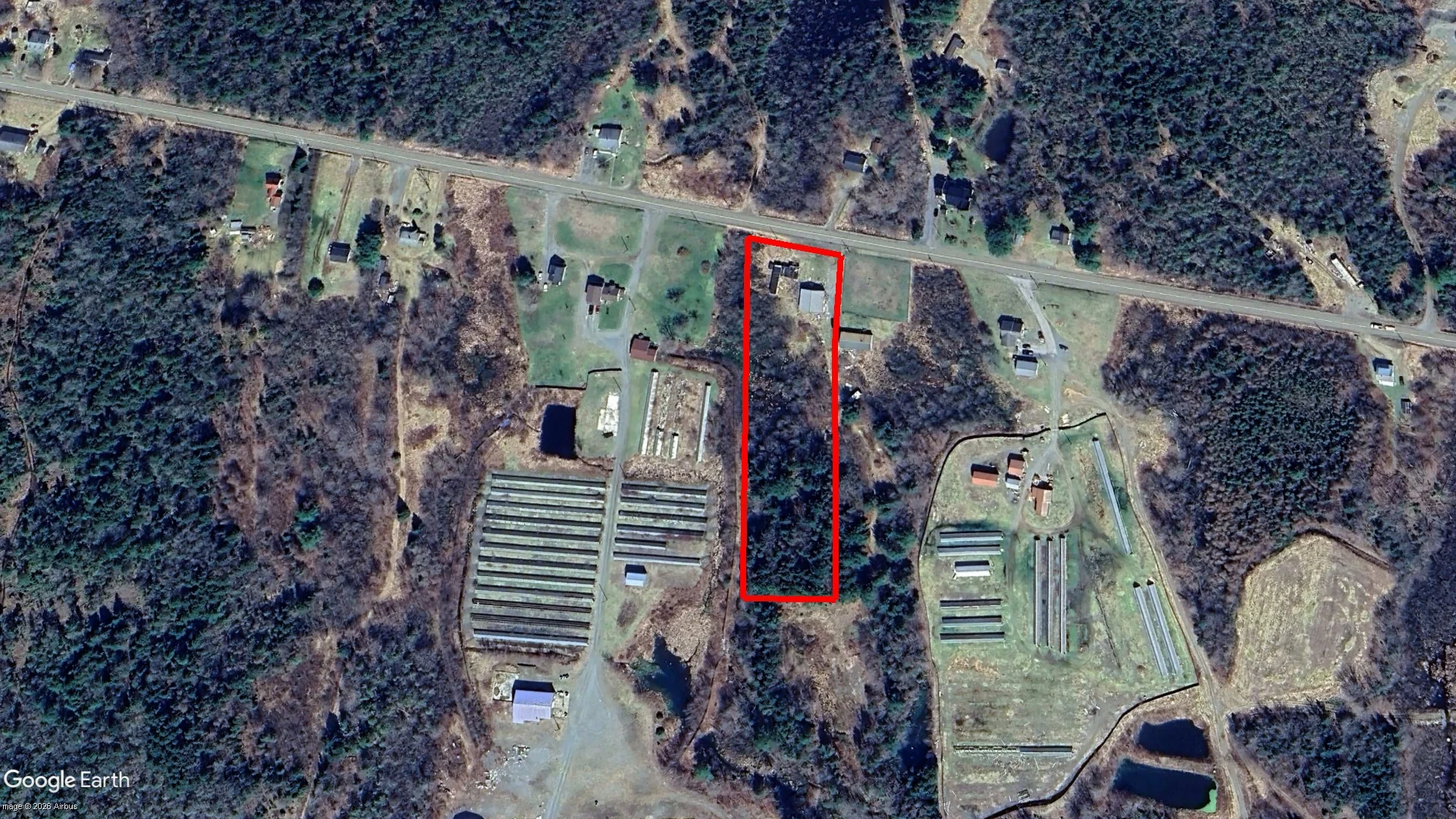 Tax sale property at 6545 Highway 340, Weaver Settlement, Clare - Photo 2