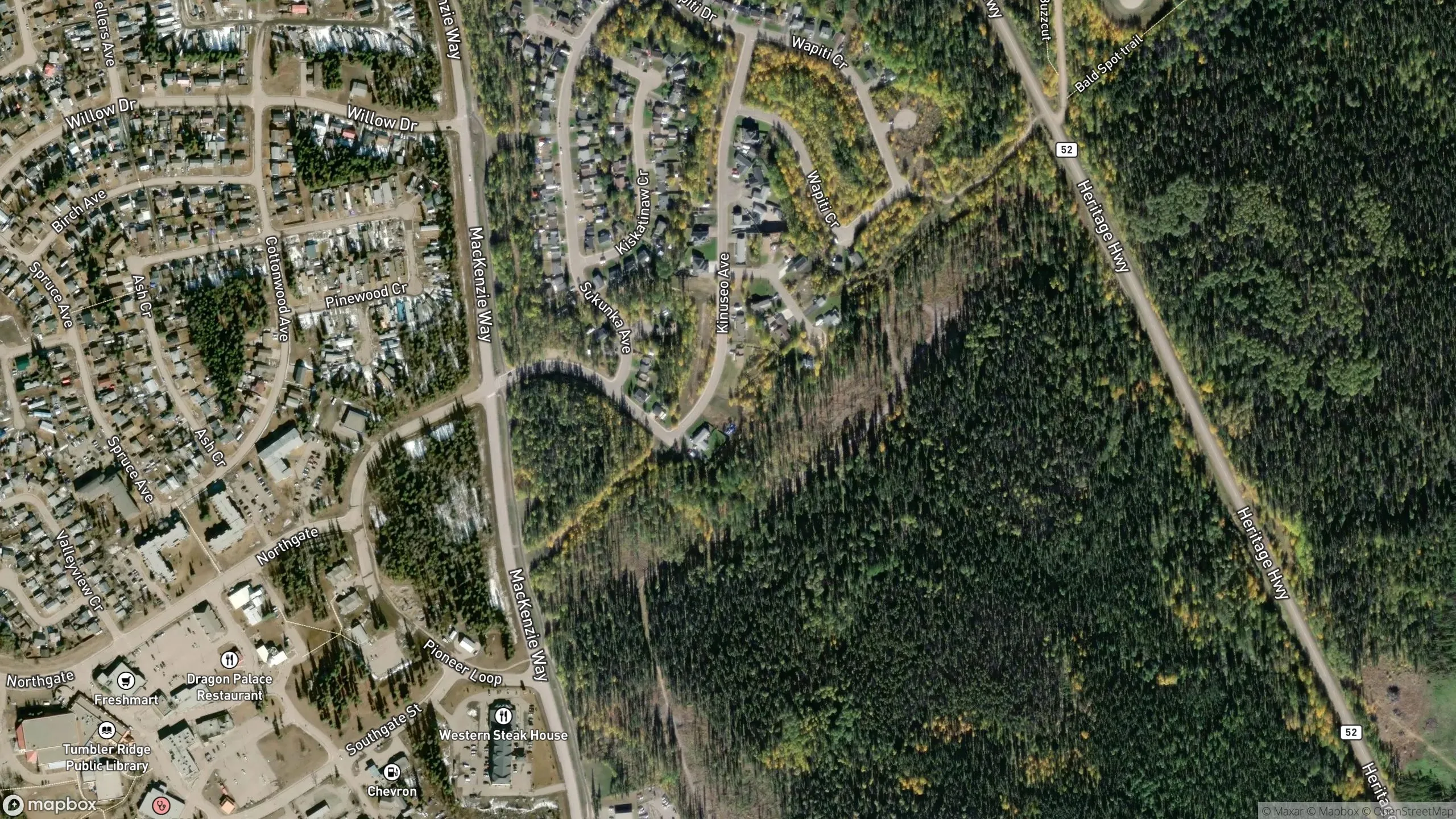 Tax sale property at , Tumbler Ridge - Photo 3